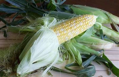 阿图什游戏平台怎么招代理加盟手游代理得多少加盟