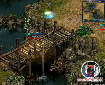 java 与 flash 谁是网页游戏领导者