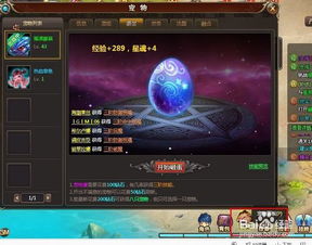 风色轨迹网页游戏宠物获取攻略